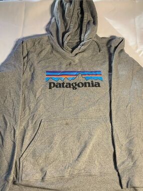 Patagonia Gray Hoodie with Blue & Purple Logo Stripe
